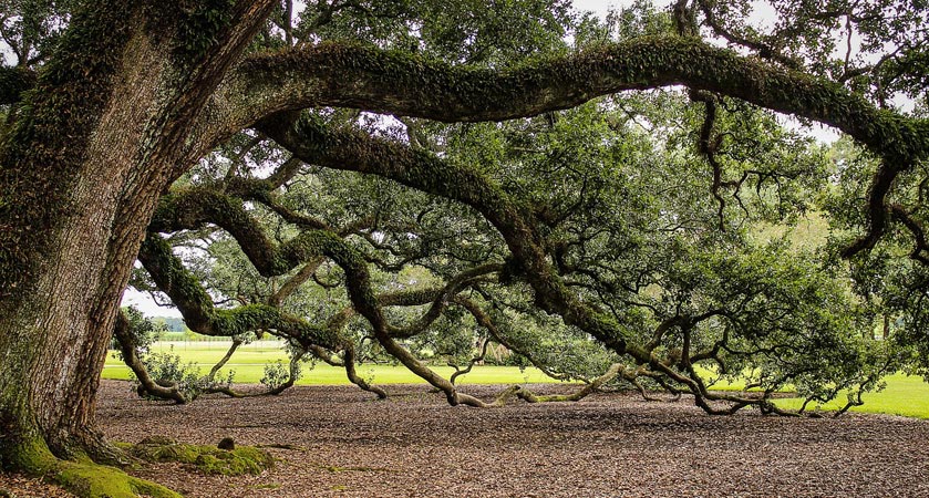 在线轰炸机网页版